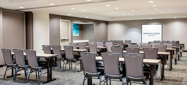 密尔沃基市中心万豪SpringHill Suites酒店(SpringHill Suites Milwaukee Downtown)图片