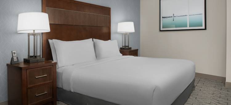 弗吉尼亚州斯普林菲尔德希尔顿安泊酒店(Embassy Suites by Hilton Springfield)图片