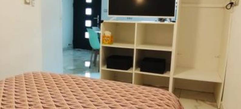 L'Hibiscus de Plaiz'Anse图片