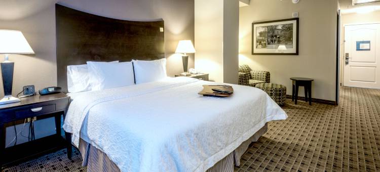 希尔顿欢朋套房酒店-蒙哥马利市区(Hampton Inn & Suites Montgomery-Downtown)图片