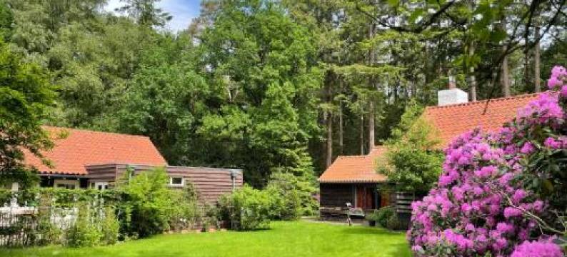 Landgoed Dennenholt - 5 Unique Holiday Homes图片