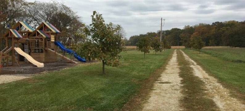 Private Peaceful Country Getaway - Family Friendly - Illinois图片