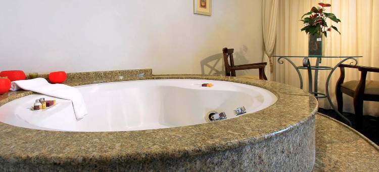 南雅拉瓜美居酒店(Mercure Jaragua do Sul)图片