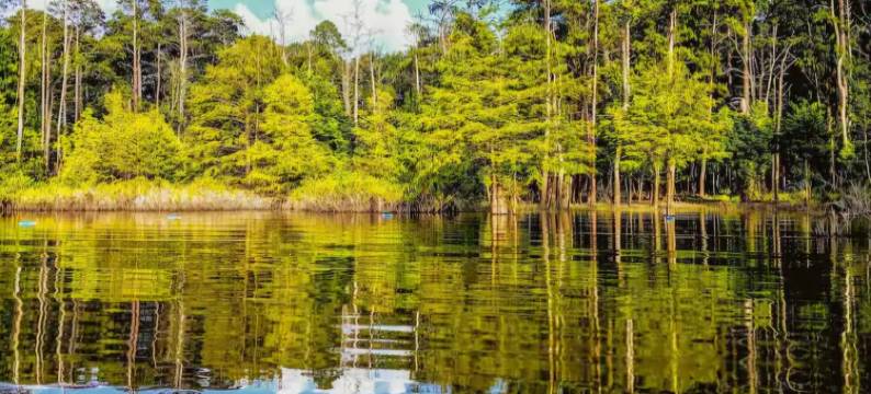 2 Homes! 6 BR 5BA! Swimming pool! Private Hot Tub! Pool Table! Basketball Hoop!图片