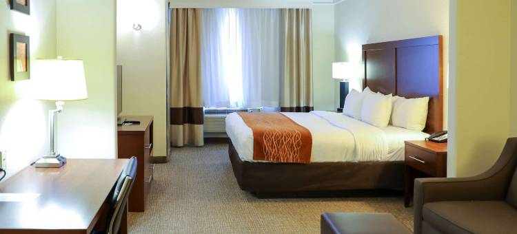 舒适酒店及套房，奥德萨I-20(Comfort Inn & Suites, Odessa I-20)图片