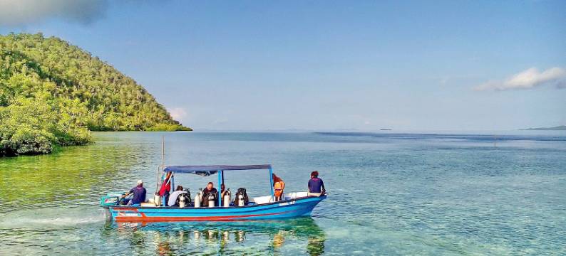 四王群岛潜水旅馆(Raja Ampat Dive Lodge)图片