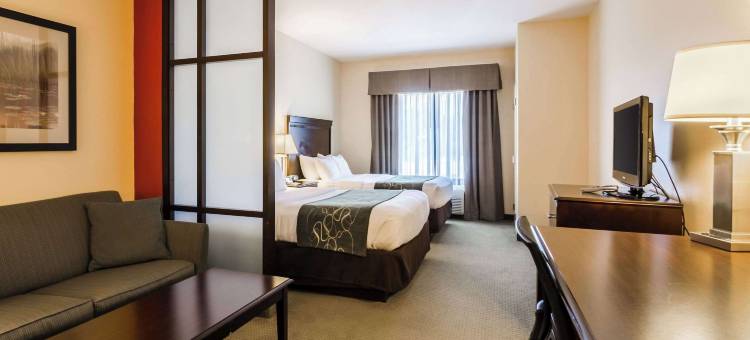 舒适套房酒店(Comfort Suites Gothenburg)图片