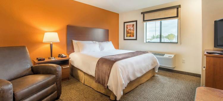 我家酒店-德克萨斯州阿马里洛西/医疗中心(My Place Hotel-Amarillo West/Medical Center, TX)图片