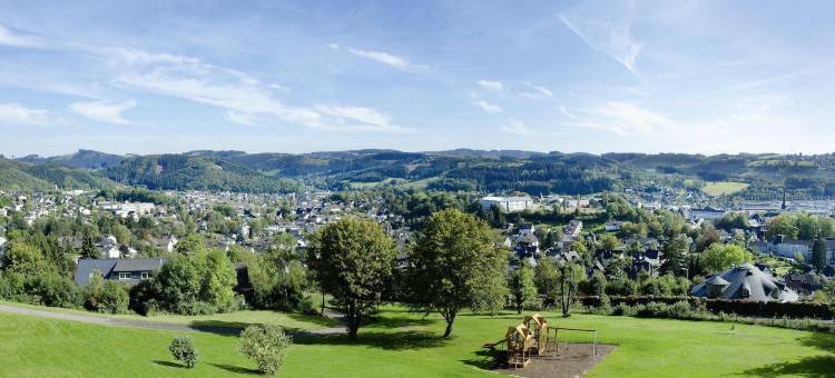 菲尼克斯酒店(Phönix Hotel)图片