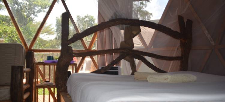 金加背包客(Jinja Backpackers)图片