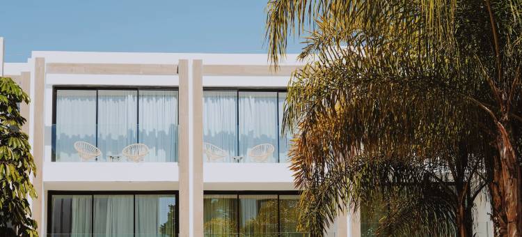 伊比莎岛原住民酒店(Nativo Hotel Ibiza)图片