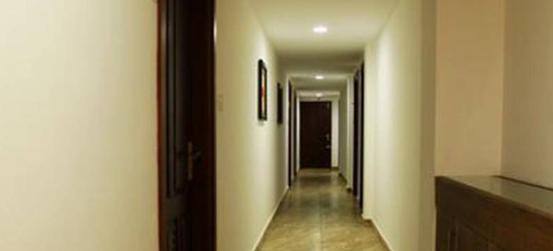 Kgees诺亚方舟(Kgees Noah Ark)图片