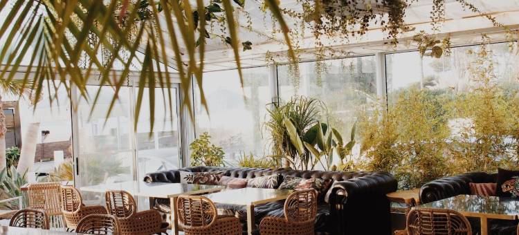 玫瑰茶酒店(Le Rose Thé)图片