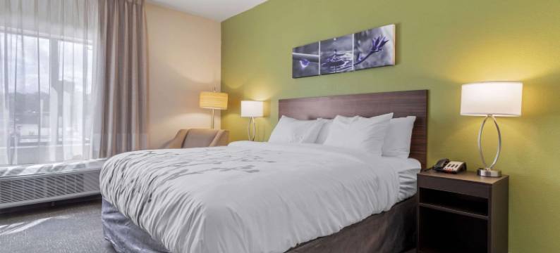 舒眠旅馆套房(Sleep Inn & Suites)图片