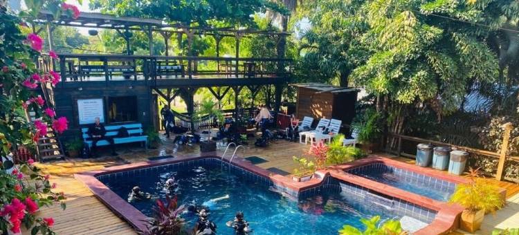 芒果旅馆度假村(Mango Inn Resort)图片