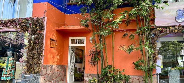 安苏雷斯主题酒店(Collection O Casa Anzures Thematic, Mexico City)图片