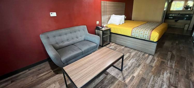 曼蒂卡温德姆Baymont酒店(Baymont by Wyndham Manteca)图片