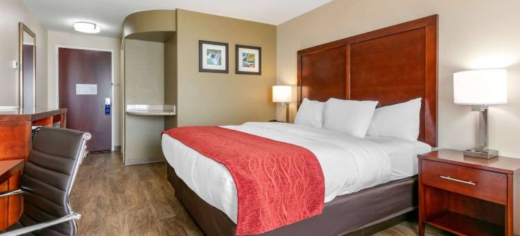 范布伦-福特史密斯舒适套房酒店(Comfort Inn and Suites Van Buren - Fort Smith)图片