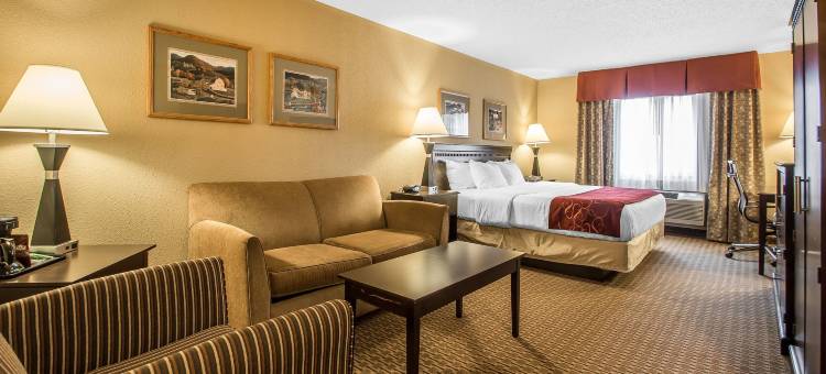 威斯康辛德尔斯区舒适套房酒店(Comfort Suites Wisconsin Dells Area)图片