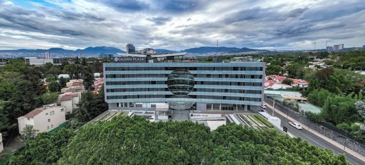 圣热罗尼莫广场画廊酒店(Galeria Plaza San Jeronimo)图片