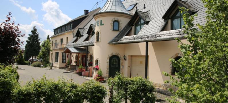 莫里兹兰德别墅伽尼酒店(Landhotel Villa Moritz Garni)图片