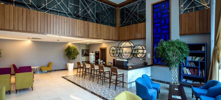 迪亚巴克尔丽笙蓝标酒店(Radisson Blu Hotel Diyarbakir, Turkey)图片