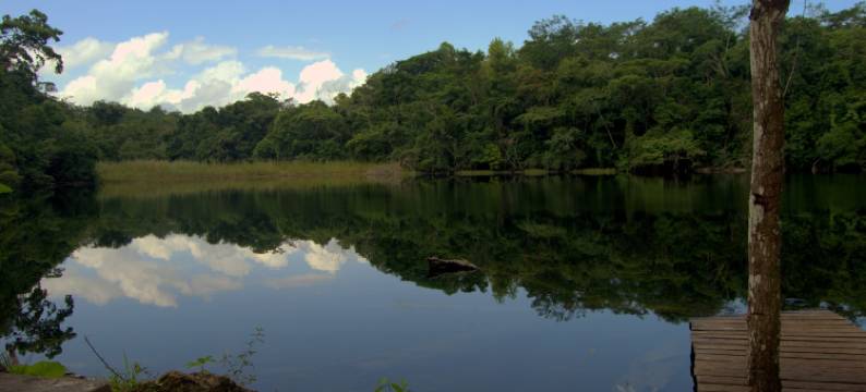 拉康多纳区桑特德里奥酒店(Santuario Zona Lacandona)图片