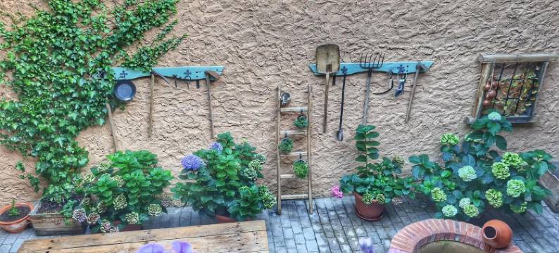 阿尔贝格埃尔恩坎托 - 朝圣者旅舍(Albergue El Encanto)图片