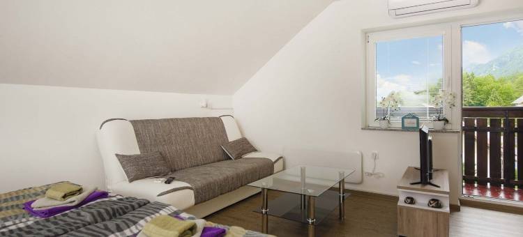 Rikli Rodine公寓，靠近布莱德(Apartments Rikli Rodine Near Bled)图片