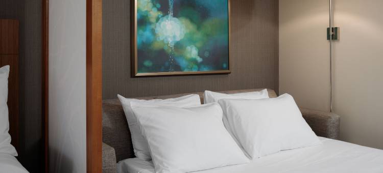 新奥尔良会议中心凯悦嘉轩酒店(Hyatt Place New Orleans Convention Center)图片