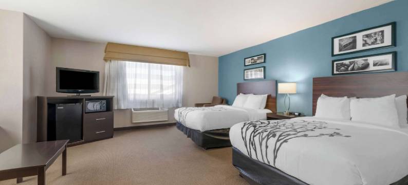 海斯I-70号舒眠套房酒店(Sleep Inn & Suites Hays I-70)图片