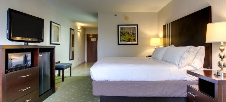 利夫奥克智选假日酒店&套房(Holiday Inn Express & Suites Live Oak)图片