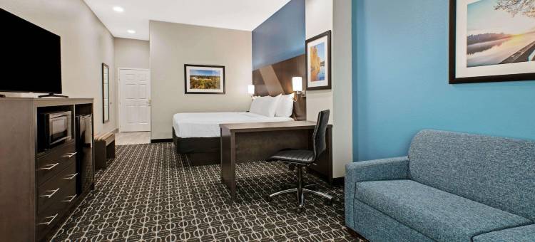 萨尔弗斯普林斯拉昆塔温德姆套房酒店(La Quinta Inn & Suites by Wyndham Sulphur Springs)图片