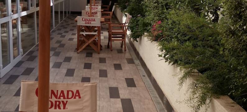 库里科阿尔马格罗迪亚哥酒店(Hotel Diego de Almagro Curicó)图片