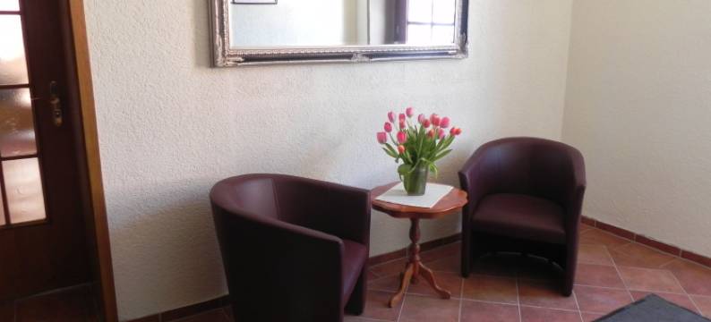 苏尔艾登伯格酒店(Zur Eldenburg)图片