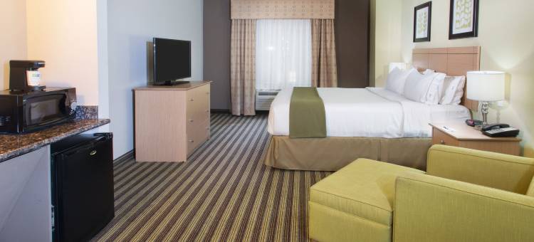 智选假日套房酒店阿尔瓦拉多(Holiday Inn Express & Suites Alvarado)图片