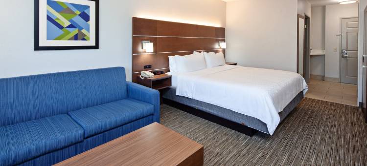 洲际酒店智选假日套房牧场幻影-棕榈泉区(Holiday Inn Express & Suites Rancho Mirage - Palm Spgs Area)图片