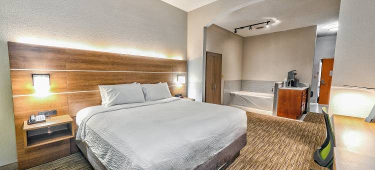 智选假日套房酒店戈申(Holiday Inn Express & Suites GOSHEN by IHG)图片