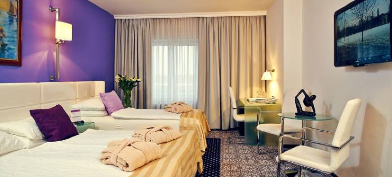 凤凰酒店(Hotel Phoenix)图片