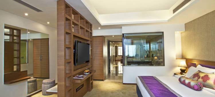 巴特那孔雀酒店(Hotel Maurya)图片