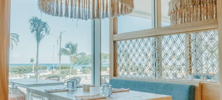 Joia Aruba by Iberostar图片