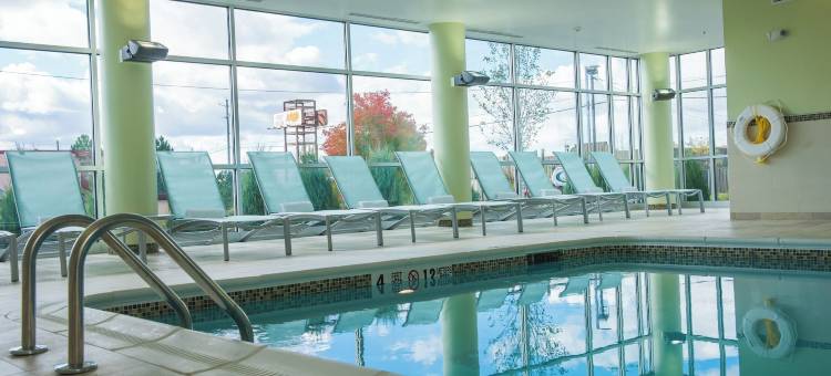 布法罗机场万豪SpringHill Suites酒店(SpringHill Suites Buffalo Airport)图片