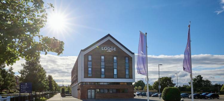 小屋酒店(The Lodge)图片