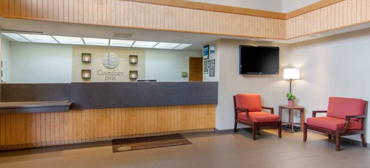 里士满南切斯特舒适酒店(Comfort Inn Chester - Richmond South)图片