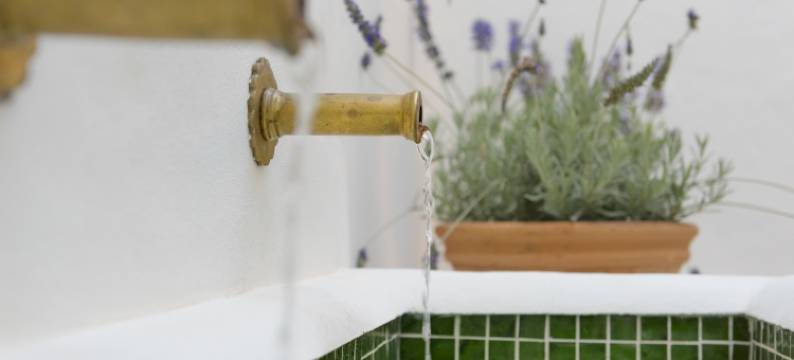 雪莉欧斯皮德里亚旅馆(Casa Shelly Hospedería)图片