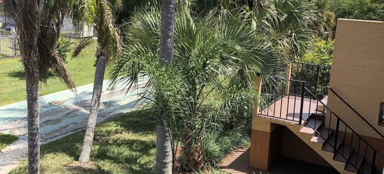 迈尔斯堡北戴斯酒店(Travelodge by Wyndham Fort Myers North)图片