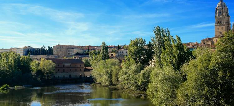 德尔托姆斯 酒店(Hospedium Hotel Casino Del Tormes)图片