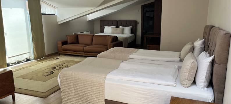 优雅酒店(The Elegant Hotel)图片