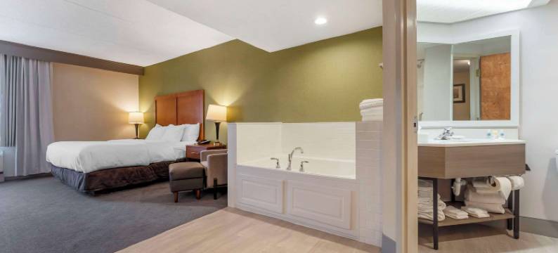 勒维尔坎伯兰舒适套房酒店(Comfort Inn & Suites LaVale - Cumberland)图片