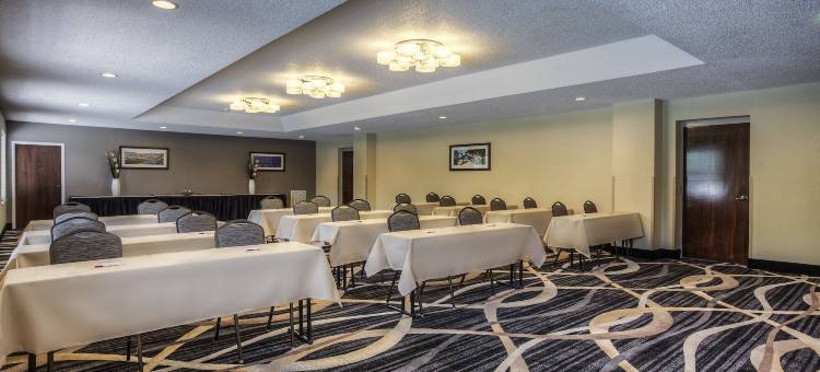 派恩维尔巴兰坦区舒适套房酒店(Comfort Suites Pineville - Ballantyne Area)图片